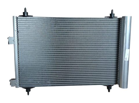 P307 PETROL 03/01-